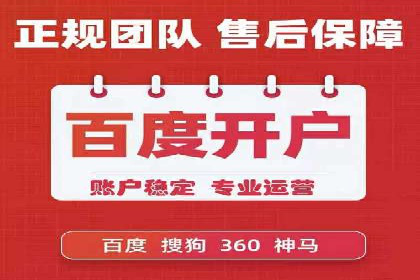 百度竞价与搜索引擎优化（SEO）的协同效应案例